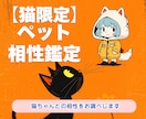 愛猫との絆が深まる｜あなたとの相性を鑑定しますます うちの子の気持ち、知りたくないですか？ イメージ1