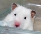 ああしろこうしろはいいません。一緒に悩みます うつ病と向き合うための背中をひと押し イメージ1