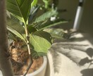 サロンの魅力を引き出す写真を撮影します 選ばれるサロン写真、作りませんか？ イメージ3