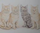 ペットの似顔絵を色鉛筆で描きます 大好きなペットとの思い出を色鉛筆画にしてみませんか？ イメージ6