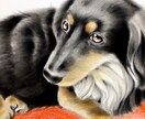 似顔絵かきます お家の大切な御家族ワンちゃんの絵を描きます イメージ1