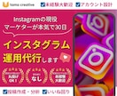 現役マーケターが本気で30日インスタ運用代行します 今だけモニター価格！"画像制作"から"全部おまかせ"まで！ イメージ1