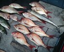 伊勢湾・御前崎・焼津での遊漁船釣り、教えます 遊漁船釣りを始めたい方をサポートします イメージ1