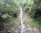 あなたの魂の色から今後のアドバイスをします 霊視霊聴など多角的に視ていきます。 イメージ2