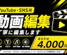 YouTube・SNS用の動画を丁寧に編集します 基本編集込み4,000円で対応 イメージ1