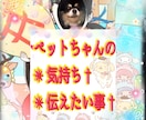 保護活から✴︎学んだペット霊視お気持ち拝見します 保護活から得たペットそれぞれの気持ちをお伝えします†✴︎ イメージ1