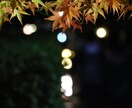 関東エリア内で写真撮影代行します 思い出に残る写真を撮影します。 イメージ6