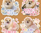 ペットの写真から小物付きの可愛いスタンプ作ります ペット写真から作る愛らしくらぶりぃで可愛いＬＩＮＥスタンプ イメージ2