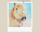 ペットの似顔絵描きます オーダーメイドでペットの似顔絵を水彩画で提供します。 イメージ7