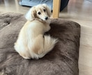 話聞きます 何でもいいから話聞いて欲しい人はここ！ イメージ1