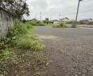 庭の草刈高枝切りから山林の伐倒までプロが解決します 最新機材で安全・迅速に！お庭の草刈りから山林伐採まで解決 イメージ4