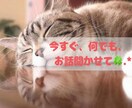 あなたのお気持ち、寄り添って聞かせていただきます ちょこっとだけもOK✩.*˚お待ちしてます‎|•'-'•)و イメージ1