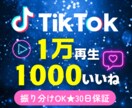 TikTok再生回数1万といいね1000増やします 格安★振り分けOK★多彩なオプション・おまけあり♪ イメージ1