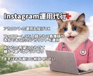 内容が選べる｜Instagram運用代行を行います 最短で結果を出すInstagram運用、設計から見直します イメージ1