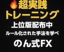販売終了！上位版込｜FX専業を本気で目指せます 月3名限定の手法伝授【ステップ1：手法PDF＋分析用インジ】 イメージ3