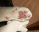 仕事のお悩み聴きます 誰にも聞けない、本を読んでも解決できない…そんなあなたに イメージ1