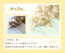 おうちの猫さんのイラストを描きます 【可愛さ満載イラストオーダー】アイコン・グッズ・プレゼントに イメージ3
