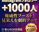 30日保証付 Instagramフォロワー増します 高品質フォロワー1000人！独自プロモーションですぐに増加 イメージ1