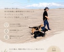 犬の気持ちに寄り添うトレーニング方法を提供します 行動には理由があります。叱らない方法で信頼関係を築きましょう イメージ1