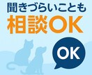 セカンドオピニオンの前の情報整理を一緒にします 獣医師が第三者視点で意見・情報提供します イメージ8