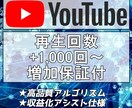 YouTube再生回数＋1,000回～増加させます 収益化可能 URLのみでOK 保証付き　再生時間もUP イメージ1