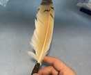 本物のフクロウの羽でドリームキャッチャー作ります フクロウの抜け落ちた羽を使用した完全オリジナルハンドメイド イメージ9
