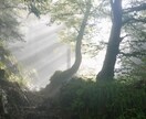 不倫・複雑恋愛の本心を想波霊視×魂感知で紐解きます 魂レベルのリーディングで、彼とのご縁を解明します イメージ5