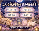 ペットの気持ち・本音を霊視タロットで丁寧に占います 犬猫限定｜今の本音・望み・飼い主様への想いを丁寧にお届け イメージ3