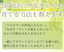 質の良いアカウントを育てる方法教えます 知らないで運用している人が9割！本当の運用方法はコレ！ イメージ1