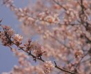 お話しましょう。元気にします なんでも聞きます！私の元気をお分けします！任せてください イメージ1