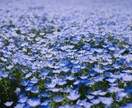 あなたの｢これまで｣から｢これから｣を視ます 過去の出来事、悩み、家族などからあなたの｢これから｣を視ます イメージ1