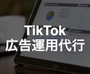 TikTok広告運用代行承ります 運用型広告で培ったノウハウを最新プラットフォームで活用します イメージ1