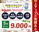 売上UPの実績あり！ECサイトの画像作ります 楽天歴10年のデザイナーがお手伝いします！ イメージ1