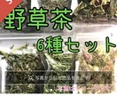 メルカリで野草販売のお手伝いします 災害時の非常食にもなる野草、フリマアプリで売れます。 イメージ3