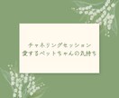 愛するあの子と繋がります 言葉を超えたペットとの絆リーディング イメージ1