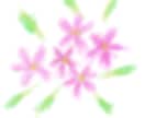 お花のアイコンを販売します ホンワカとしたイラストのアイコンを作成してます イメージ1