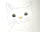 生き物のゆるかわいいイラストを手描きします アイコンやグッズイラストをお探しの方へ イメージ2