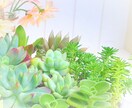 髪のことで自信をなくしたあなたへ　お話お聴きします どんなことでも♡あなたの気持ちに優しく寄り添います｡ଓ イメージ7