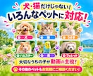 ペット写真1枚からAIリール動画15本作ります 写真1枚でOK！愛犬・愛猫がSNS動画の主役に イメージ4