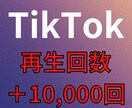 TikTok再生回数+10000増やします ☆最安値に挑戦☆ティックトック再生拡散 イメージ1