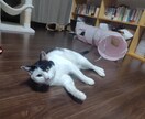 合格率9割！筆記の勉強しない合格指導講座になります 1年間10万円で追加料金無し！9割合格する合格指導講座です イメージ1
