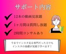 40代以降のインスタ初心者向け！使い方を教えます 13本動画/2時間のビデオチャット付/毎日質問し放題の1ヶ月 イメージ3