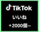 TikTokいいね＋2000個〜増やします あなたのSNSマーケティングをお手伝い致します イメージ1