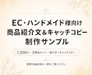 即納品｜商品紹介文＆キャッチコピー作成します 売れる言葉で、商品の魅力を引き出す イメージ2