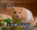 気楽に愚痴聞きます 友達感覚で話し相手になります♪ イメージ1