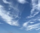 ペット、守護動物、神獣との結び、通訳します ペット、虹の橋を渡ったペット、守護動物等を通訳します。 イメージ5