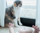 記念写真撮ります 好きなところにカメラマンを呼んで記念写真撮りませんか イメージ4