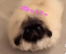 48時間LINE感覚でお話します 悩み事や雑談でもなんでも大丈夫です(^^) イメージ1