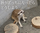 自慢話、なんでも聞きます 羨ましがられたい人、この指とまれ！ イメージ4