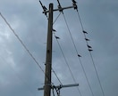 電気設備、電力業界に関するご相談２～３個受付けます 電力業界、電気工事関係での勤務経験あり（高圧以下） イメージ3